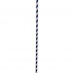 Κοντάρι Σημαίας